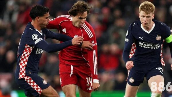 沙巴sb体育平台官网：行内人的不为人知的世界杯预测秘密